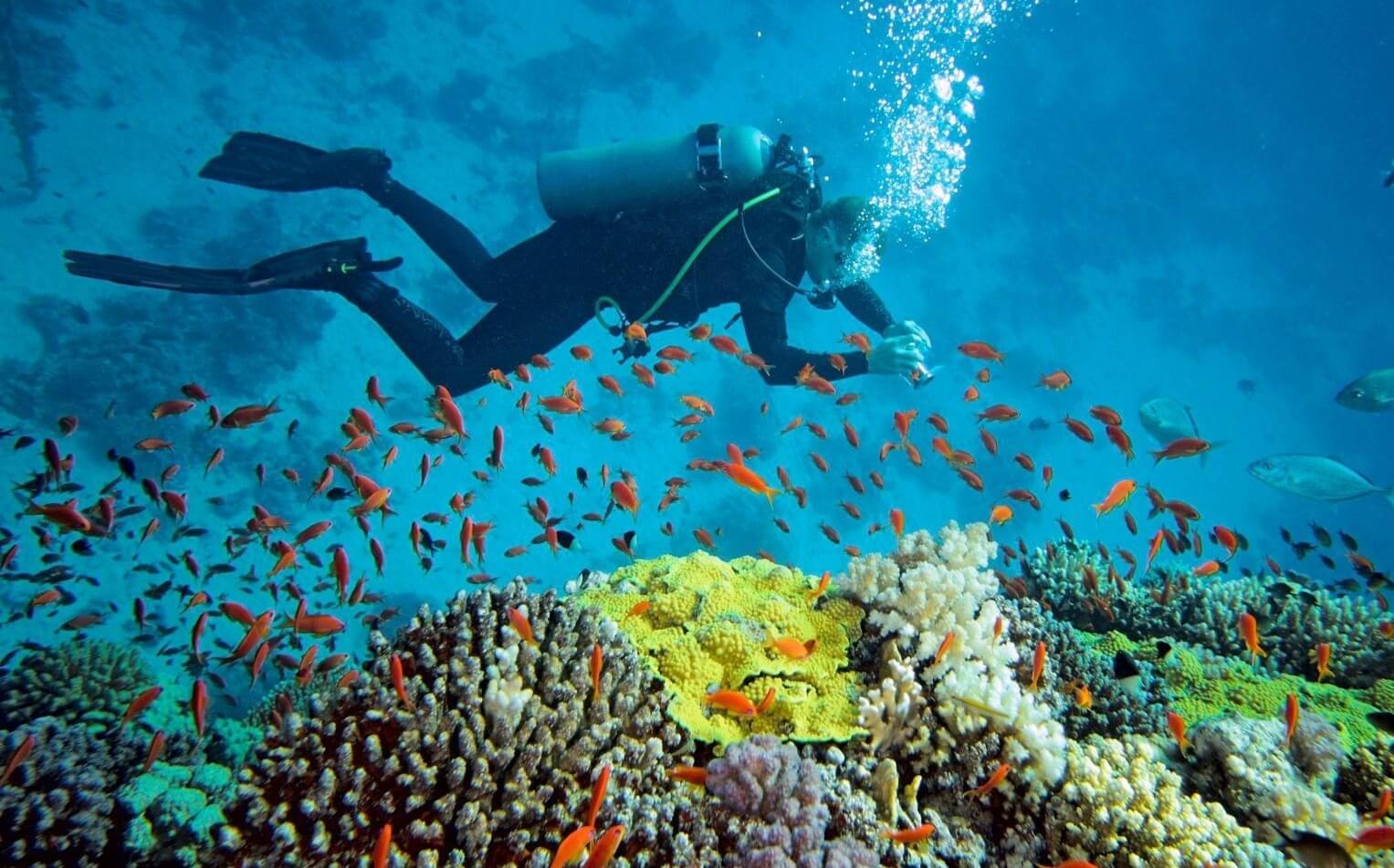 ALIWAL-SHOAL-DIVING-UMKOMAAS