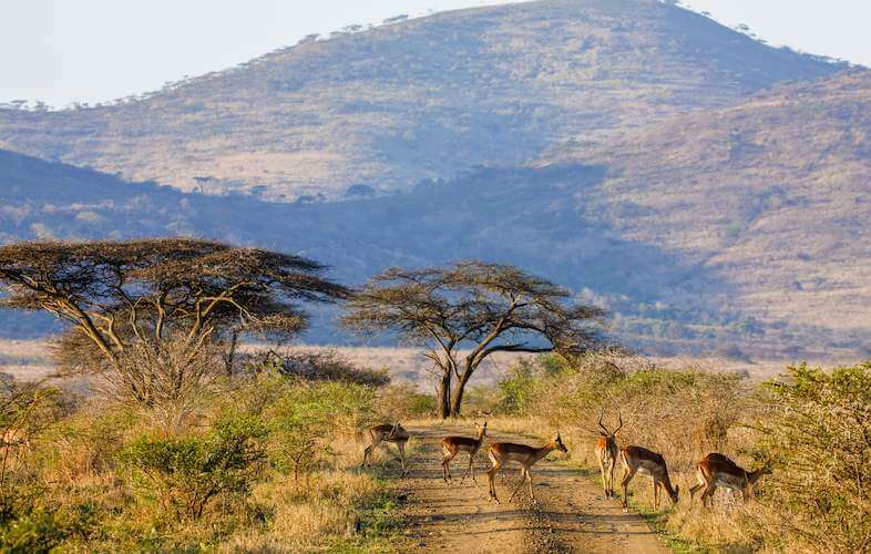 GAME-RESERVES-KZN